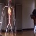 Medical Students to Drop Heavy Books and Adopt VR Human Anatomy