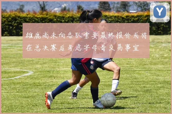 雄鹿尚未向各队索要最终报价或将在总决赛后考虑字母哥交易事宜