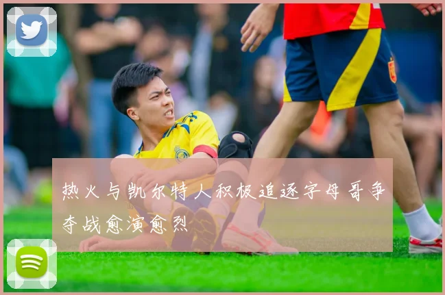 热火与凯尔特人积极追逐字母哥争夺战愈演愈烈
