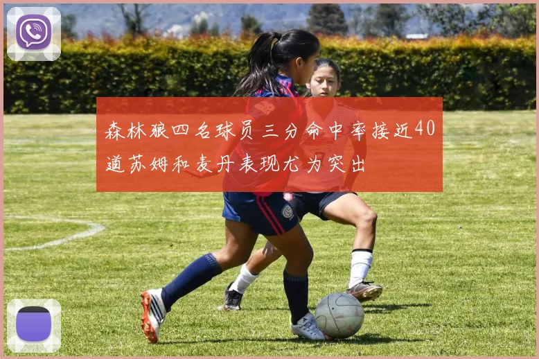 森林狼四名球员三分命中率接近40道苏姆和麦丹表现尤为突出