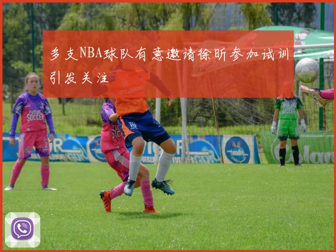 多支NBA球队有意邀请徐昕参加试训引发关注