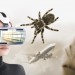 VR in Medical World shows Promise in Curing Phobias