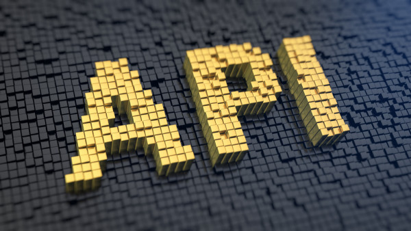 The Need for Quality API Documentation
