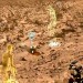 NASA Uses Virtual Reality to Experience Mars like Never Before