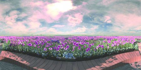 Virtual Reality’s “Life Garden” Thanking Cancer Research Supporters At RHS