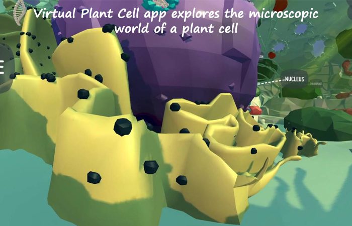 Virtual Reality Walks Around The Microscopic World Of A Plant Cell