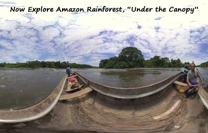 Know, What It Feels Like To Explore Amazon Rainforest with VR